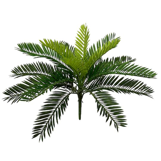 Green Cycas Palm Bush by Ashland&#xAE;
